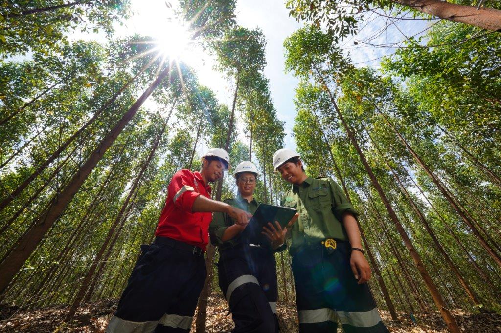 Pt Rapp Riau Riau Mandiri - Mengabarkan dengan Cepat dan Akurat